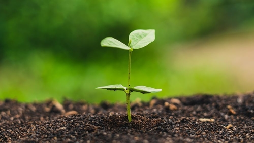 についての最新の会社ニュース オーストラリア 警告: 誤った 堆肥 化 品 標識 が 大量 の プラスチック 汚染 を 引き起こし て いる