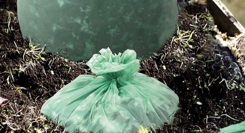 についての最新の会社ニュース コンポスト可能なプラスチックバッグは生分解性ですか？神話を暴く