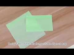 樹脂コンストースト可能 Ziplock バッグ サンドイッチ 再閉包可能なバッグ SGS FDA 認定